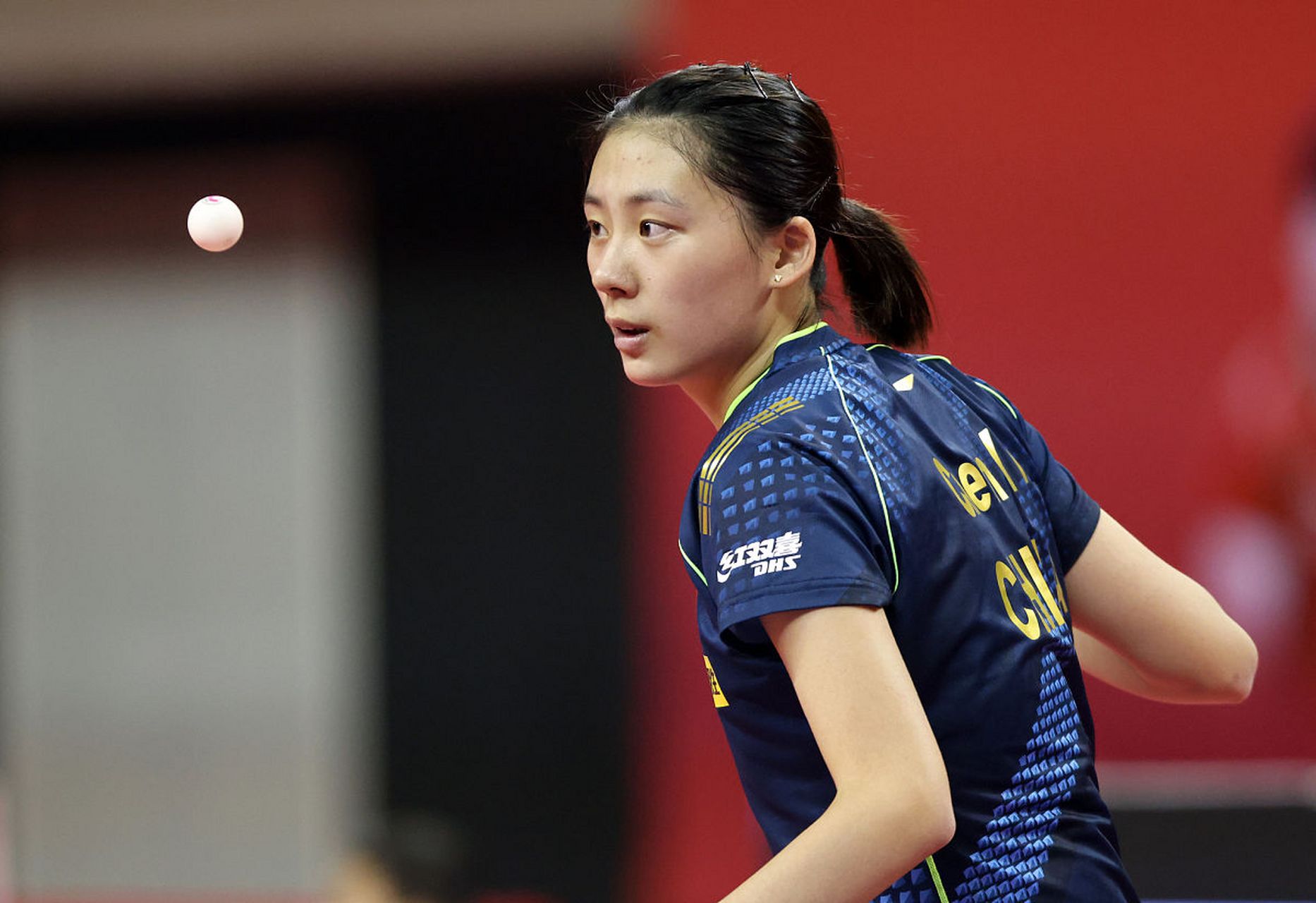 期待山东泰 期待山东泰