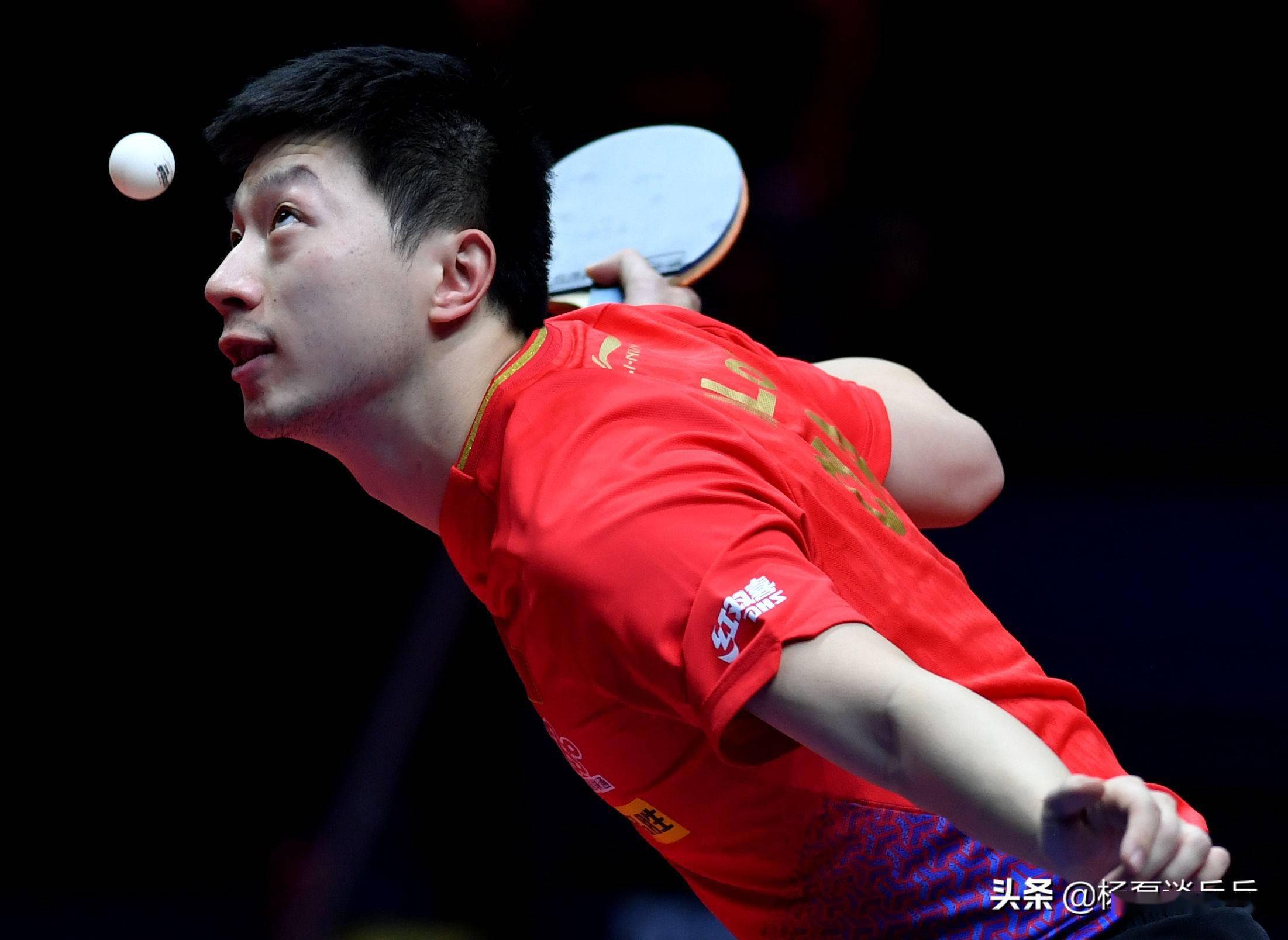 关注和期待 关注和期待