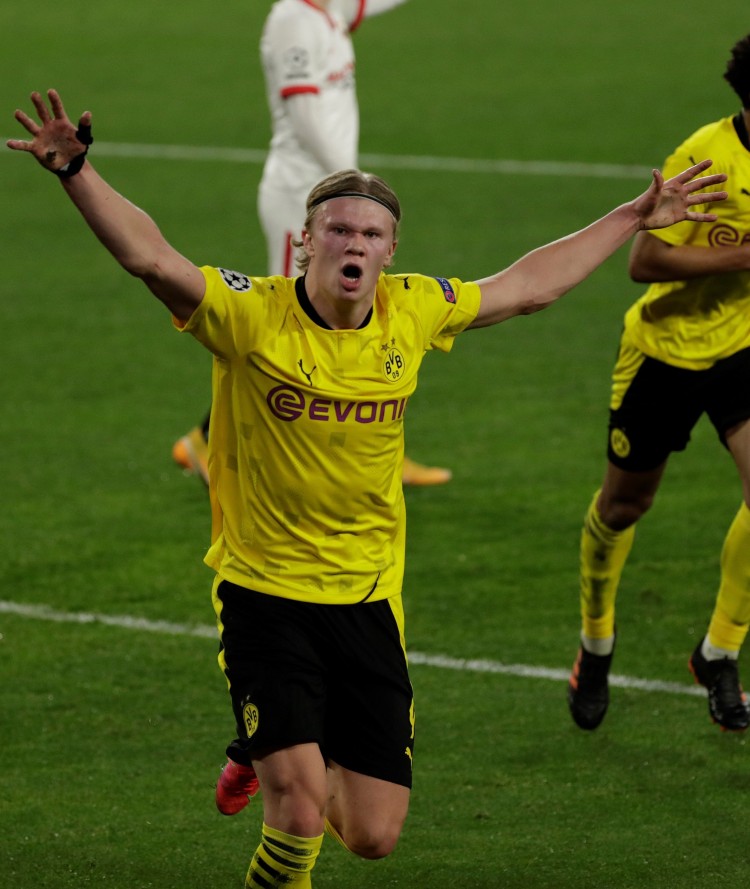 取得了显著 取得了显著