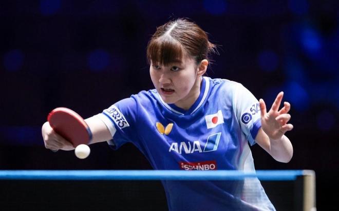 续领衔紫金 续领衔紫金