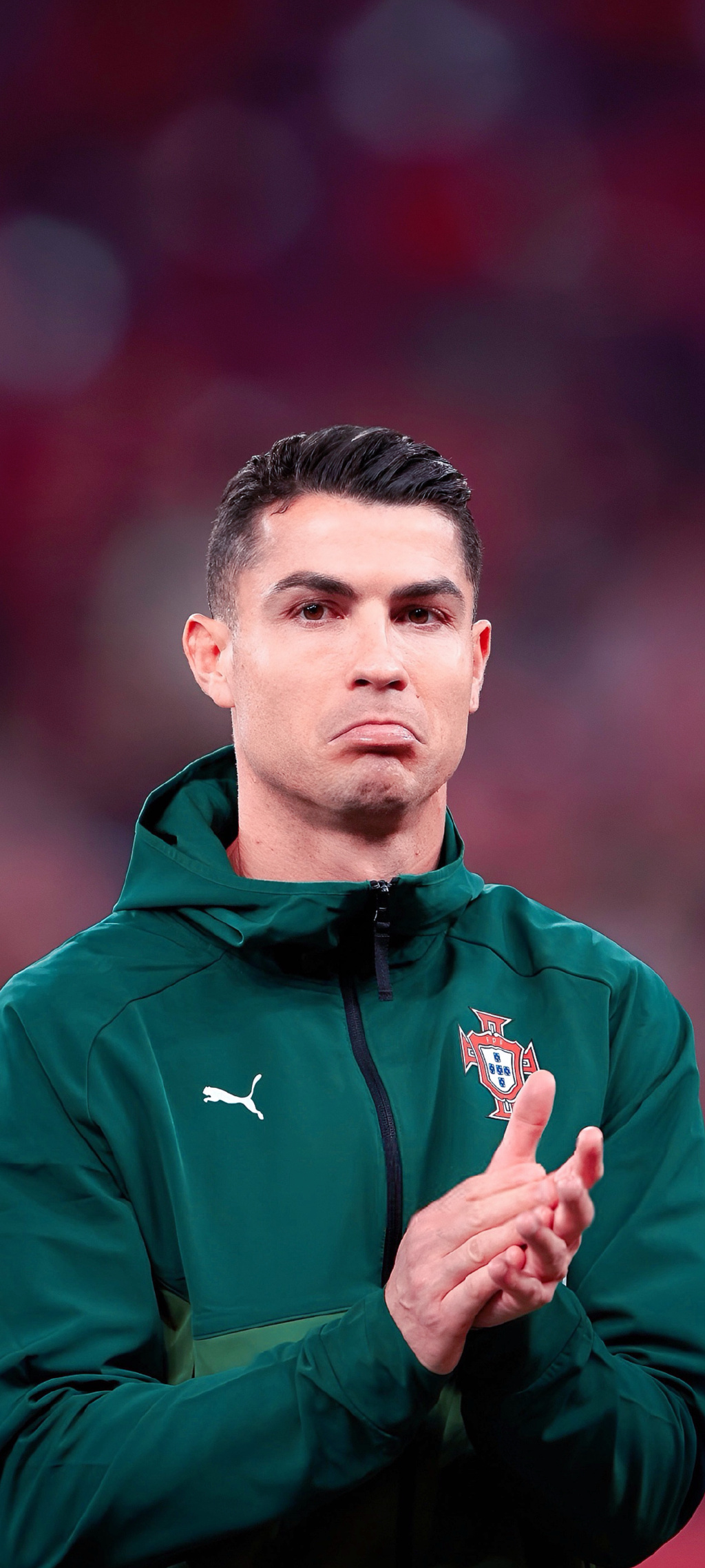 当悬念落定 当悬念落定